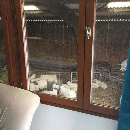 Le Loup Dans La Bergerie Bed & Breakfast Montmartin-sur-Mer Eksteriør bilde