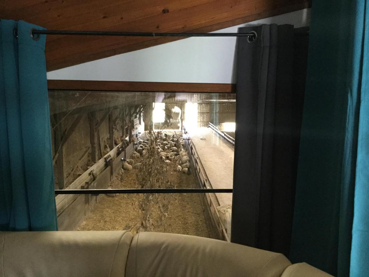 Le Loup Dans La Bergerie Bed & Breakfast Montmartin-sur-Mer Eksteriør bilde
