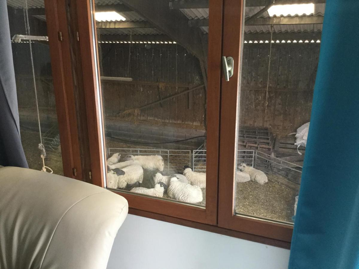 Le Loup Dans La Bergerie Bed & Breakfast Montmartin-sur-Mer Eksteriør bilde