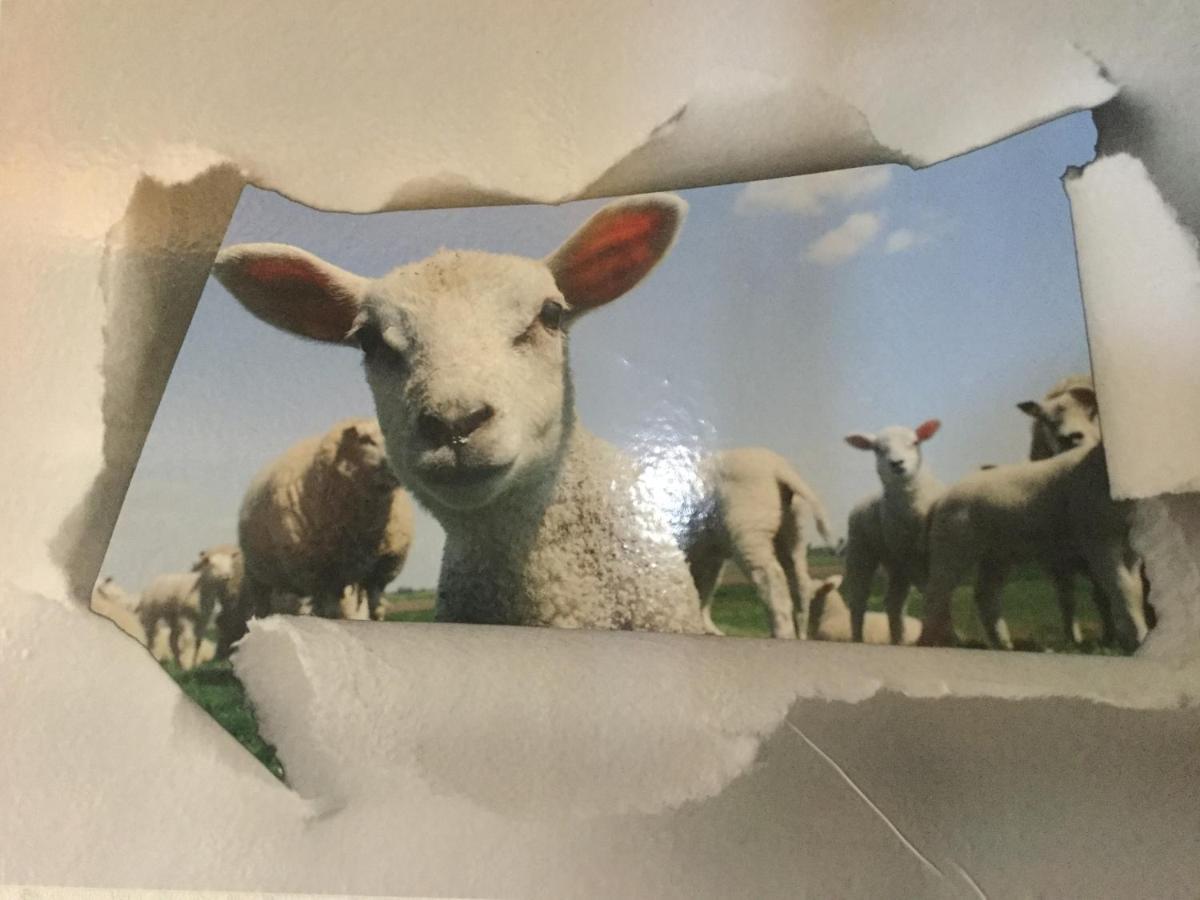 Le Loup Dans La Bergerie Bed & Breakfast Montmartin-sur-Mer Eksteriør bilde